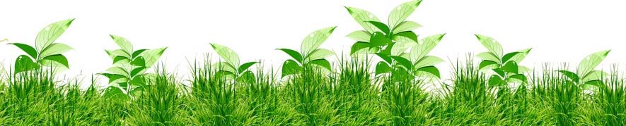 紫外线消毒灭菌关注事项,紫外线消毒和蒸汽消毒哪个更安全