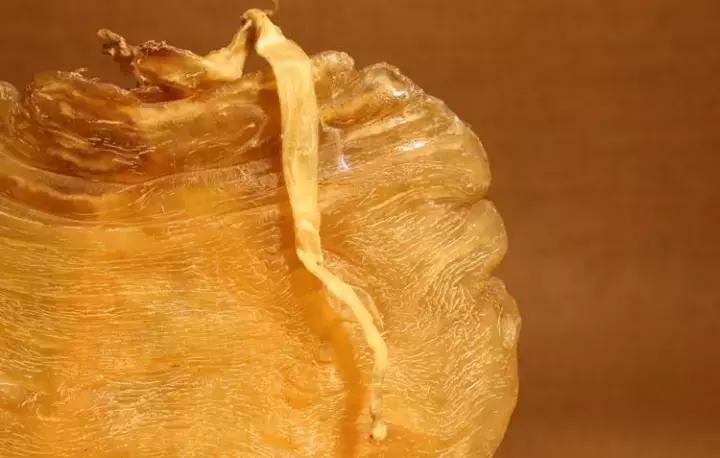 红木胶粘结效果怎么样,鱼鳔胶的粘合力