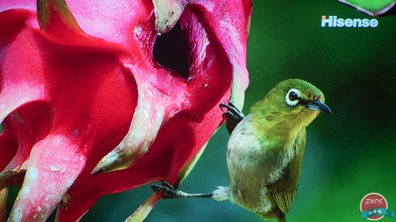 微鲸32寸电视怎么样,微鲸m1投影评测