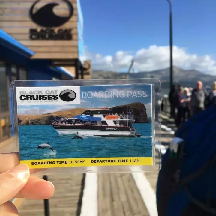 他们有钱，会玩，没有中产焦虑