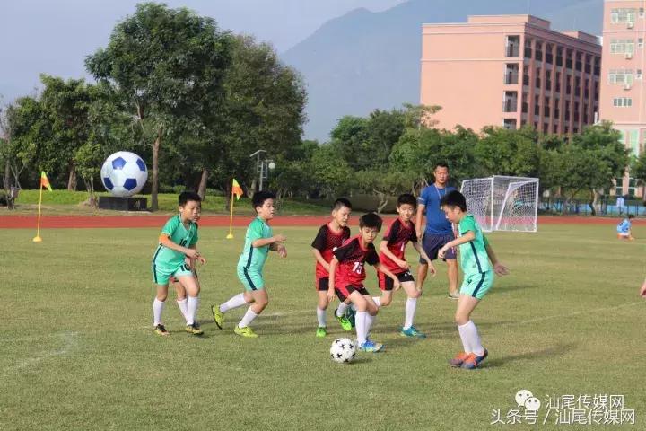 德成中英文学校晚会,德成中英文学校元旦直播回放