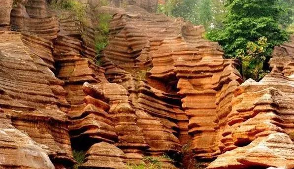 重庆让人着迷的城市,重庆一个充满火锅味的城市