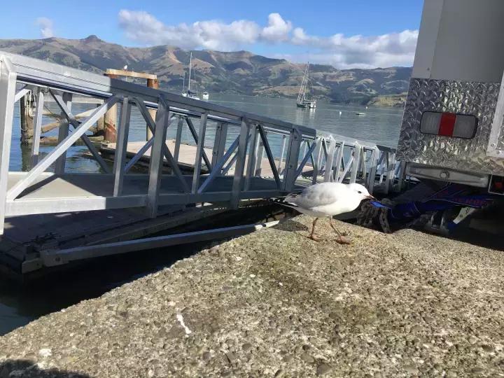 他们有钱，会玩，没有中产焦虑