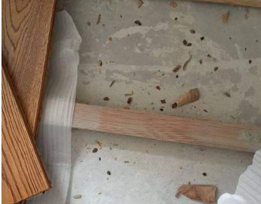 工地贴砖视频教程大全,工地木工铺板教程视频