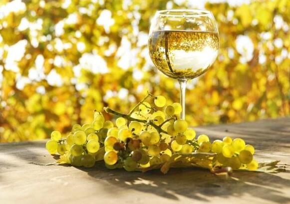 白葡萄酒和干白葡萄酒哪个好,白葡萄酒怎么喝口感更好一些