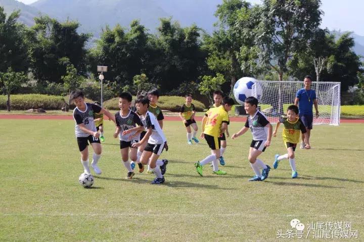 德成中英文学校晚会,德成中英文学校元旦直播回放