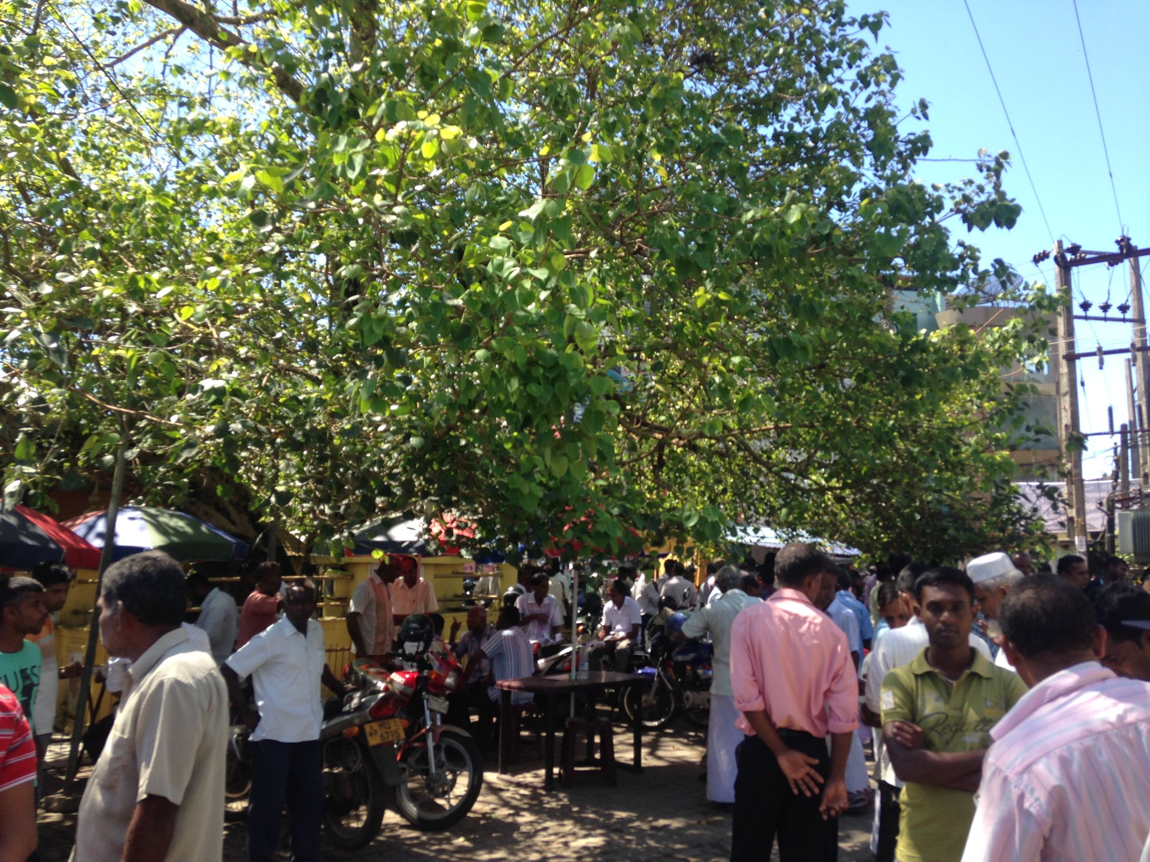 去斯里兰卡买蓝宝石关注事项,怎么看斯里兰卡蓝宝石