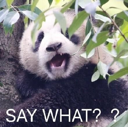 最接近普通话的方言是不是北京话,世界上有两样东西不能碰