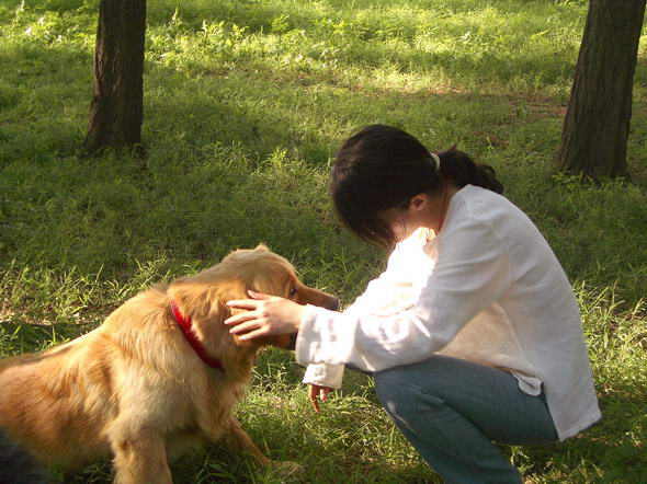 爱情篇：因狗结缘天然呆姑娘-庆幸没有错过你
