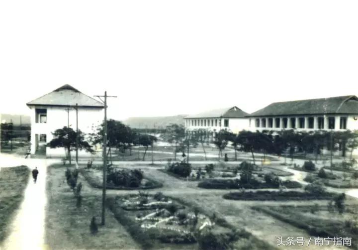 南宁三中分析,南宁三中详细介绍