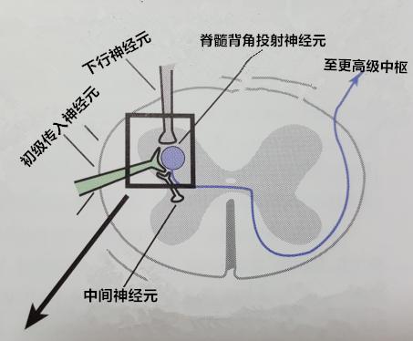 抑郁焦虑引起身体各种疼痛怎么办,焦虑抑郁引起的躯体疼痛怎么缓解