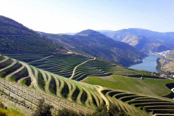 法国红酒产区，罗讷河谷产区，朗格多克-鲁西永产区