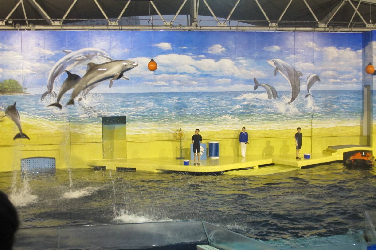 喜欢看恐龙海洋动物,广州长隆海洋馆海底世界