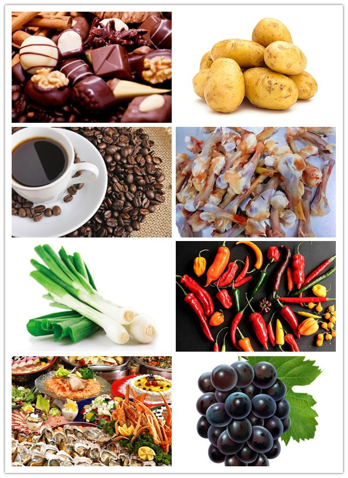 犬舍的狗如何喂养,狗狗饲育问题及解决方案