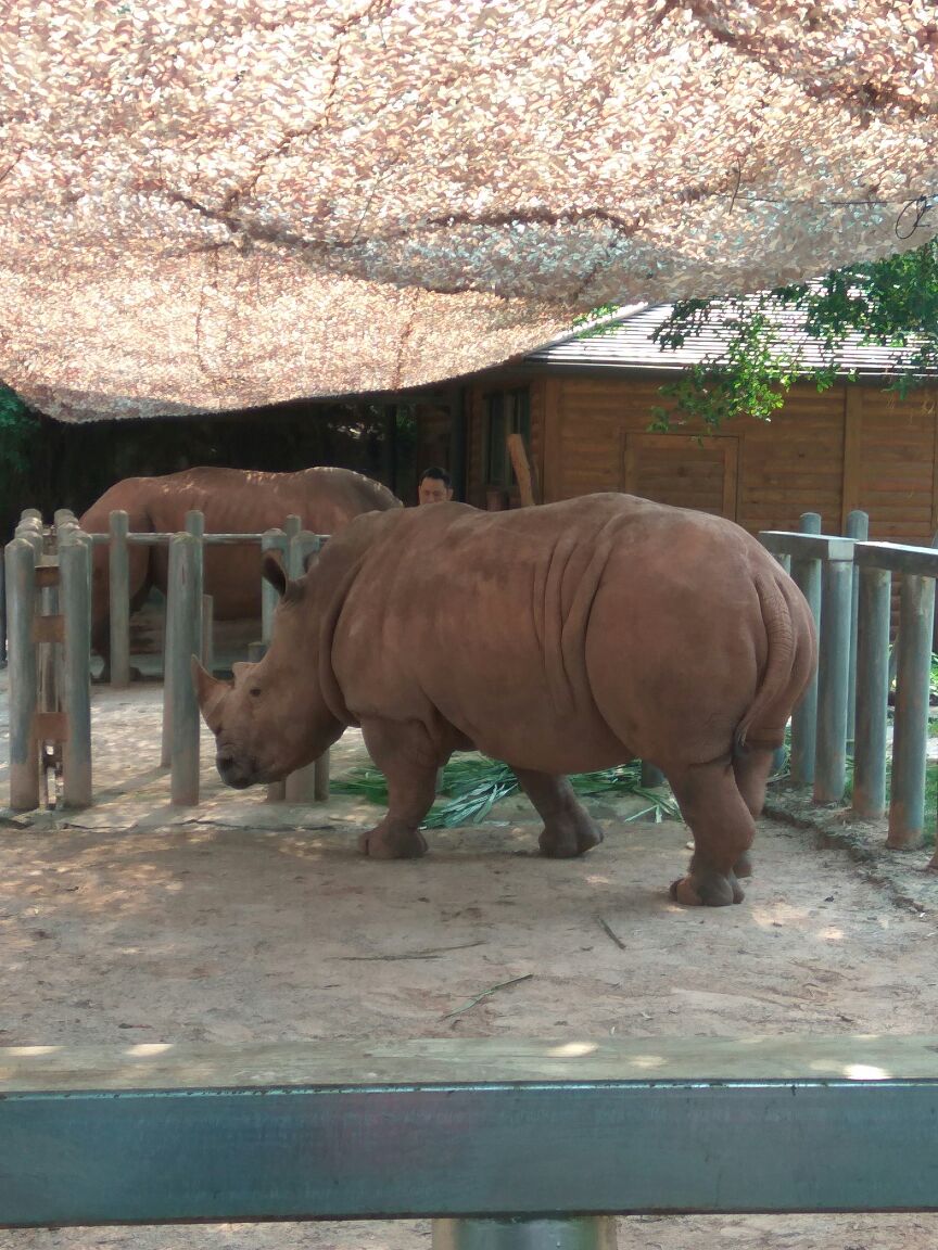 喜欢看恐龙海洋动物,广州长隆海洋馆海底世界