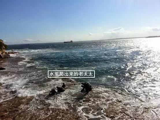 你在悉尼这么浪，你妈知道吗？