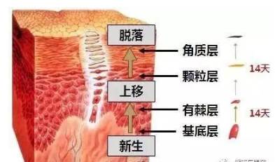 脸上闭口粉刺痘痘毛孔粗大怎么办,脸上长好多闭口粉刺还能敷面膜吗