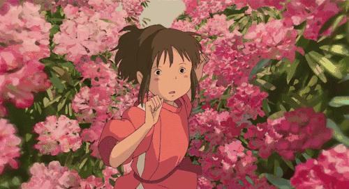 百万葵园一日游门票,葵园免费门票景点