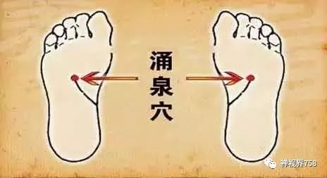 大愿法师养生,大愿法师讲治病视频