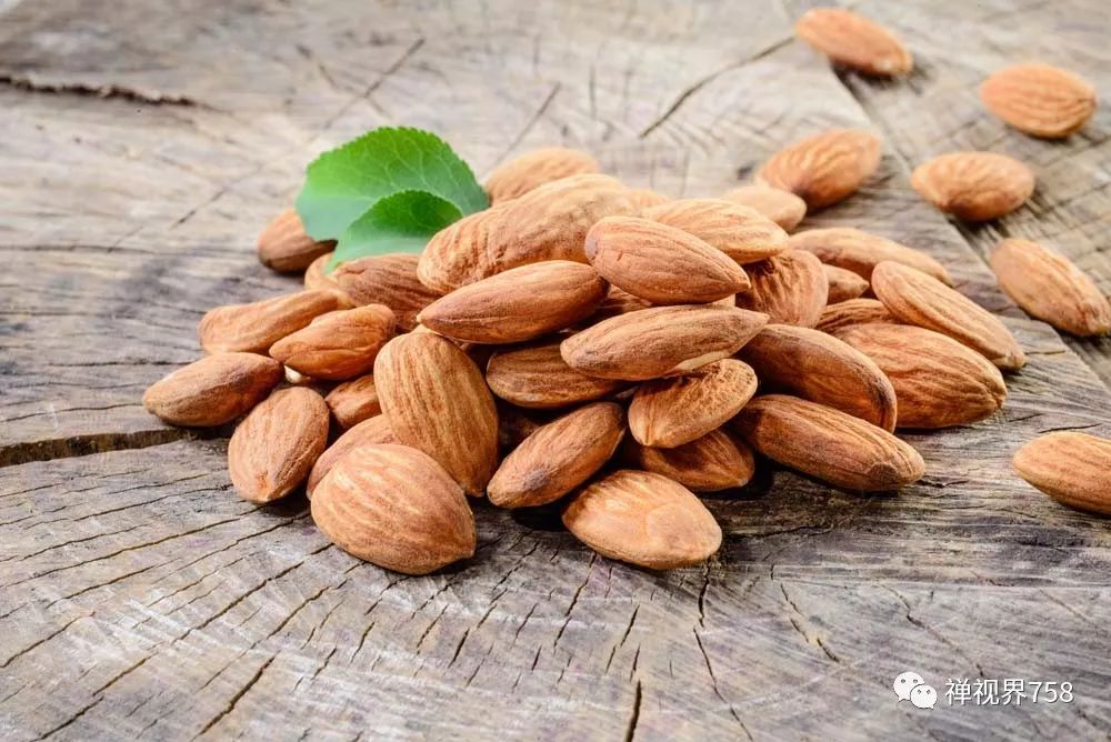 大愿法师养生,大愿法师讲治病视频