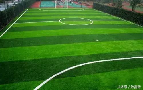 财富农观察｜从牧草到草坪，厉害了我的草！