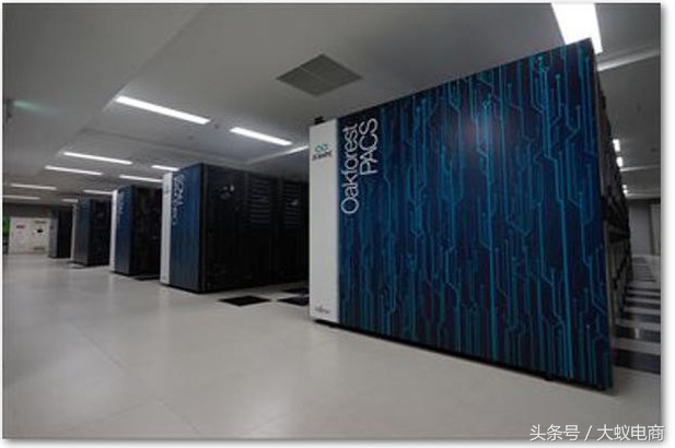 地球上最强的几个人,地球最强前十人