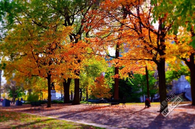 碉堡｜美东+加拿大15天半自由行！附加你们最关心的购物退税攻略