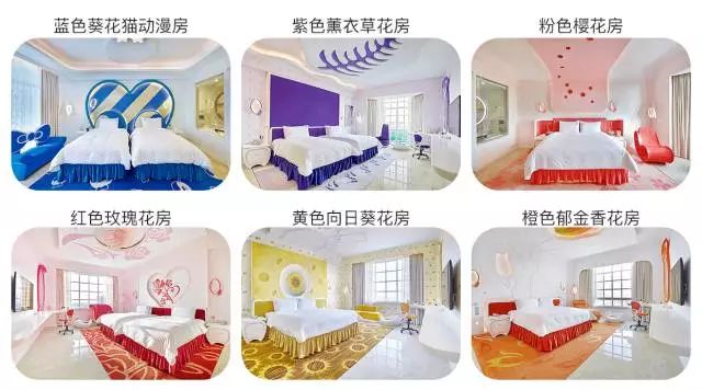 百万葵园一日游门票,葵园免费门票景点