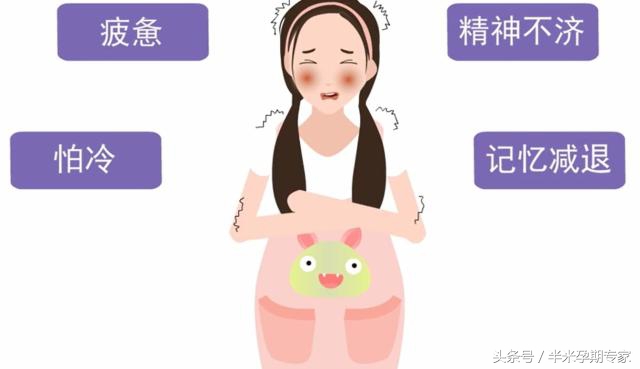 怀孕得甲减怎么办,甲减为什么很难怀孕