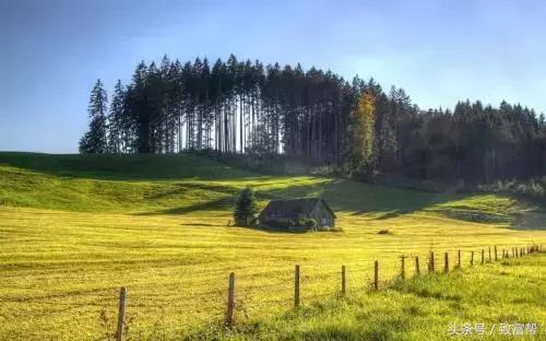 财富农观察｜从牧草到草坪，厉害了我的草！