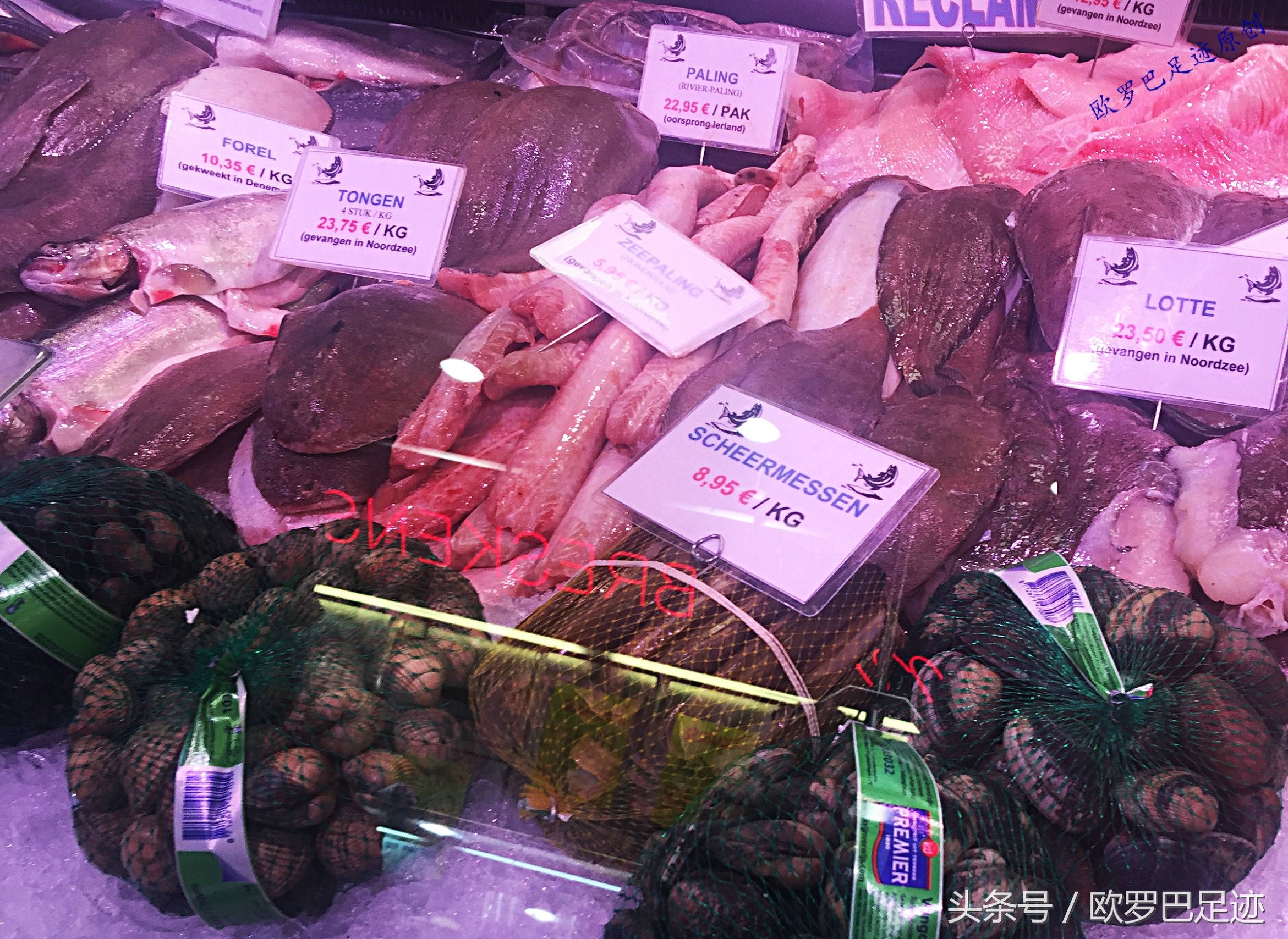 中国厨子邂逅欧洲小镇海鲜市，不认识的鱼炖起来也不手软