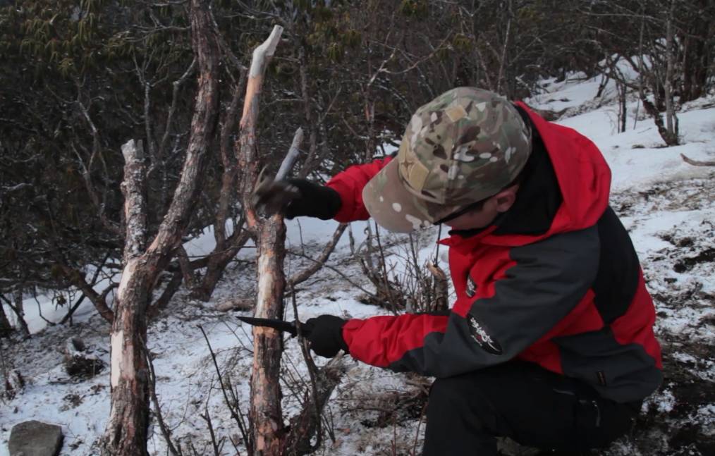 游侠装备搭配2.0,游侠装备两把不同武器