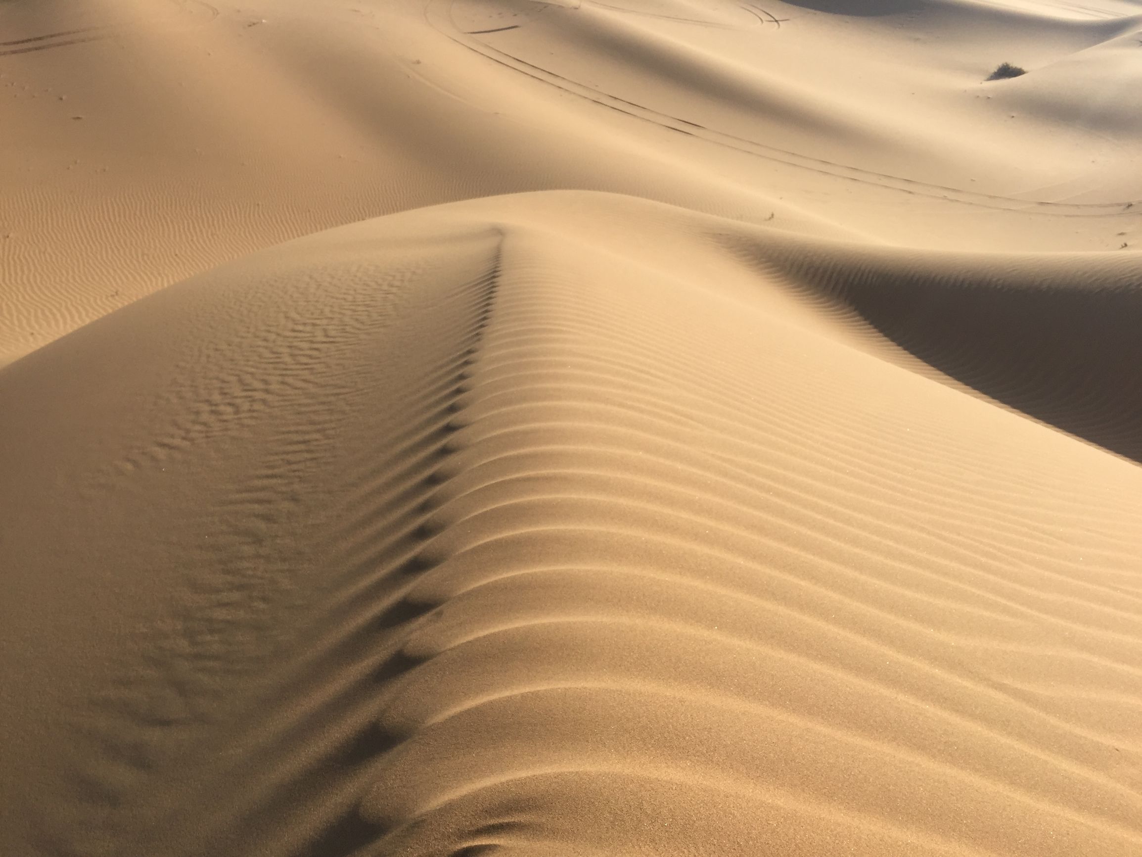 假期突如其来的快乐,一次突如其来的惊喜