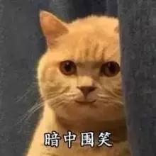 哪些口红大牌包装最简单,大牌口红最新款限量版