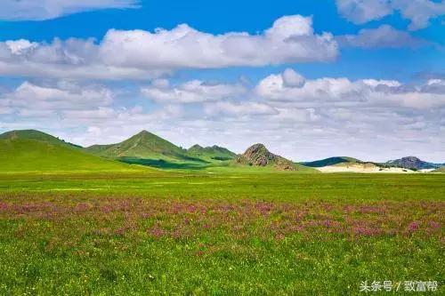 财富农观察｜从牧草到草坪，厉害了我的草！