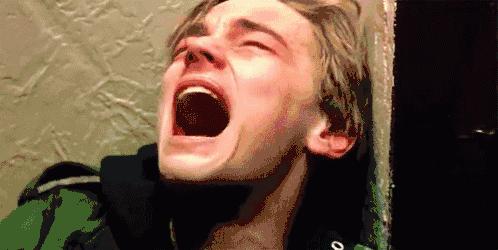 百万葵园一日游门票,葵园免费门票景点