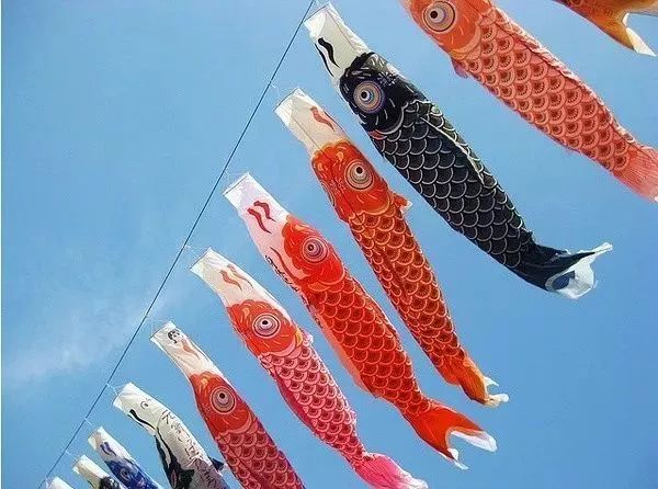 百万葵园一日游门票,葵园免费门票景点