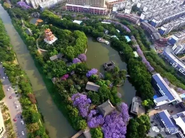 大红河视频,大红河