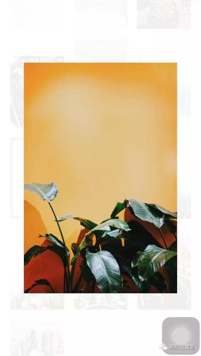 手机摄影后期学什么,手机摄影基础系列课程