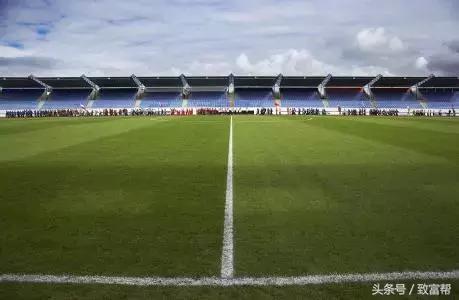 财富农观察｜从牧草到草坪，厉害了我的草！