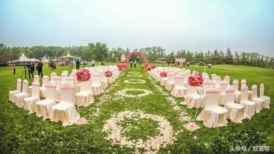 财富农观察｜从牧草到草坪，厉害了我的草！