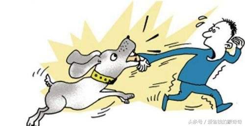 狗狗被大狗咬伤会应急吗,被自家狗狗咬伤了要打针吗