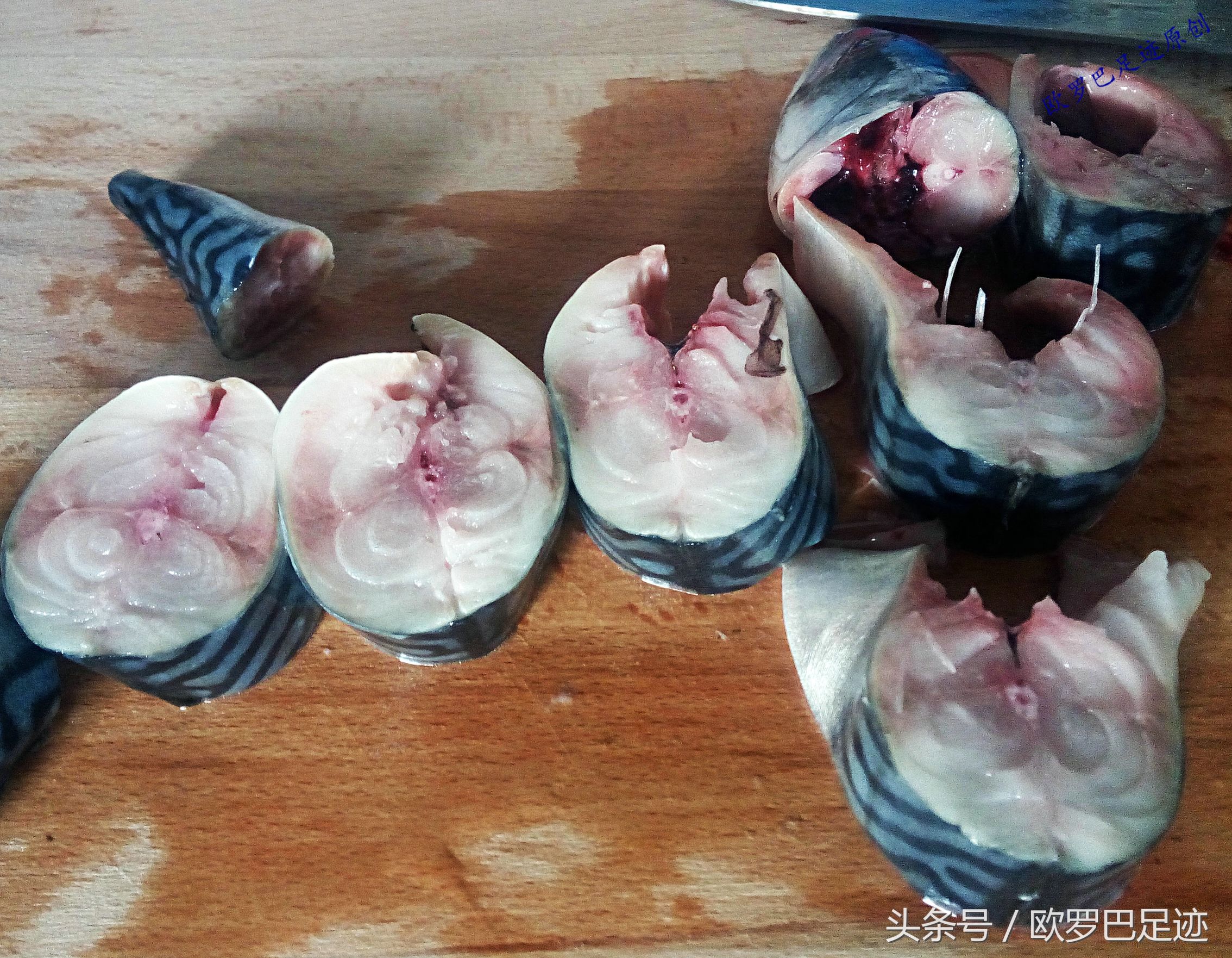 中国厨子邂逅欧洲小镇海鲜市，不认识的鱼炖起来也不手软