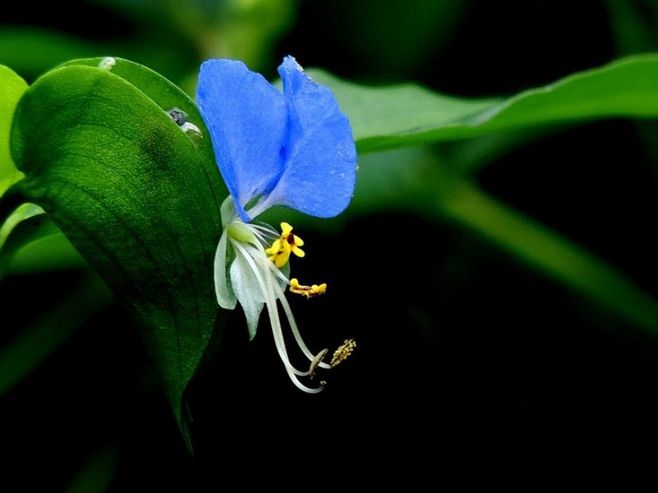 搬新家去甲醇，知道方法可别轻忽了到底怎么做