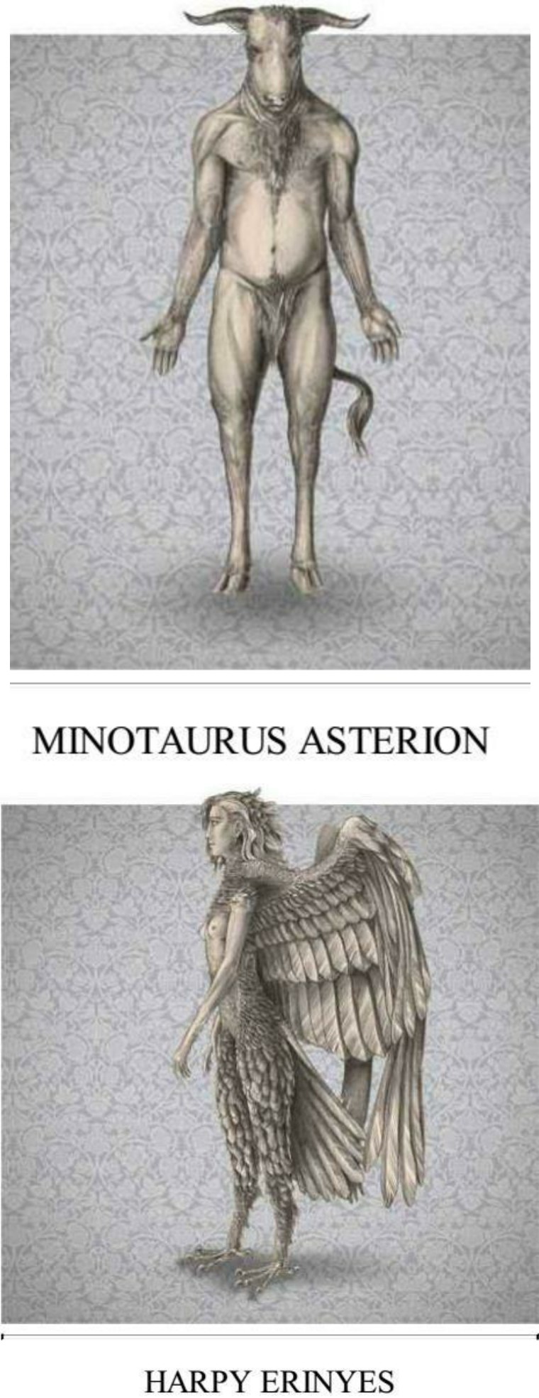 关于解剖美人鱼的电影解说,解剖美人鱼成功视频