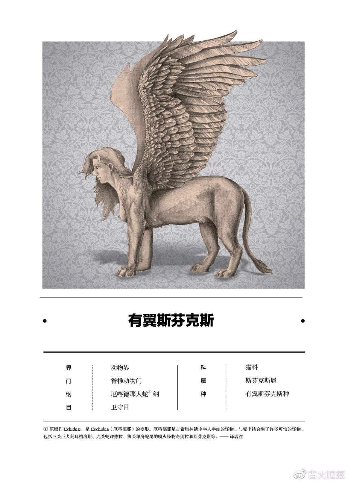 关于解剖美人鱼的电影解说,解剖美人鱼成功视频