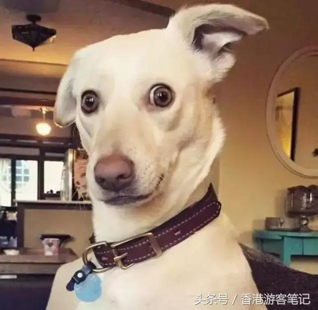 50岁最好用的口红,50块钱好用的口红牌子