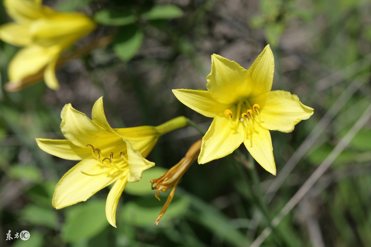 你知道的一条最高冷的知识是什么？