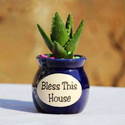 搬新家去甲醇，知道方法可别轻忽了到底怎么做