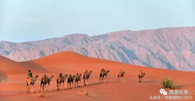 阿曼落地签中国,去阿曼落地签